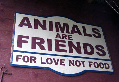 Yes, they're yummy yummy friends...just not at Piebird