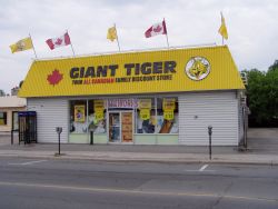 Giant Tiger, northern Ontario's finest! highway 11