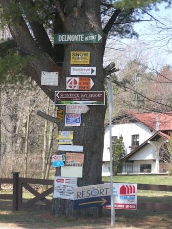 Severn Bridge's tree of signs