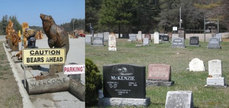 Who buys these things?  I'm talking about the bear statues for sale along Highway 11, not the family plots at the Symington cemetery in Kahshe Lake